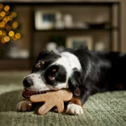 Frisco Nylon Gingerbread Dog Chew Toy, Beef Flavor, Medium -Dog - Cat Shop 291385 PT3. AC SS1800 V1668108316