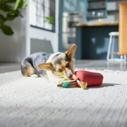 Frisco Brunch Bloody Mary Plush Squeaky Dog Toy 5 Frisco Brunch Bloody Mary Plush Squeaky Dog Toy -Dog - Cat Shop 297228 PT2. AC SS1800 V1642088343