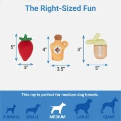 Frisco Brunch Pancake Hide & Seek Puzzle Plush Squeaky Dog Toy -Dog - Cat Shop 297266 PT2. AC SS1800 V1643916712