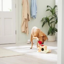 Frisco Brunch Pancake Hide & Seek Puzzle Plush Squeaky Dog Toy -Dog - Cat Shop 297266 PT3. AC SS1800 V1642087986