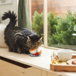 Frisco Brunch Teacup Plush Cat Toy With Catnip -Dog - Cat Shop 297292 PT2. AC SS1800 V1642088843