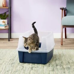 Frisco Plastic Litter Scooper With Caddy & IRIS USA Open Top Litter Box With Scatter Shield -Dog - Cat Shop 298166 PT6. AC SS1800 V1623202669