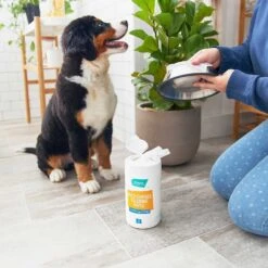 Catit Flower Plastic Cat Fountain & Frisco Pet Toy & Bowl Cleaning Wipes, 70 Count -Dog - Cat Shop 303288 PT7. AC SS1800 V1623047247