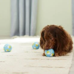 Frisco Easter Fetch Squeaky Tennis Ball Dog Toy, Medium, 3 Count -Dog - Cat Shop 304964 PT4. AC SS1800 V1703184745