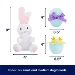 Frisco Easter Basket Hide & Seek Puzzle Plush Squeaky Dog Toy -Dog - Cat Shop 304982 PT2. AC SS1800 V1702665735
