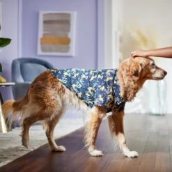 Disney Lion King's Simba Jungle Dog & Cat Shirt -Dog - Cat Shop 311842 PT8. AC SS1800 V1643323713