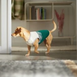 Frisco Tropical Palm Dog & Cat T-Shirt -Dog - Cat Shop 312072 PT8. AC SS1800 V1644425897