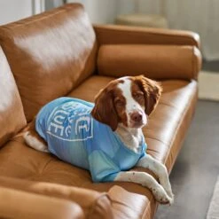 Frisco Peace Love Rescue Dog & Cat T-Shirt -Dog - Cat Shop 315068 PT8. AC SS1800 V1646351303