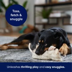 Frisco Realistic Opossum Plush Squeaky Dog Toy -Dog - Cat Shop 316929 PT4. AC SS1800 V1695760990