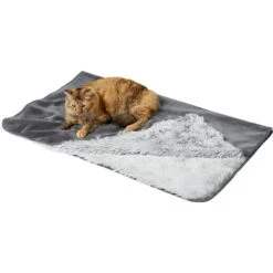 Frisco Sofa Pet Bed With Removable Cover & Frisco Eyelash Cat & Dog Blanket -Dog - Cat Shop 319504 PT5. AC SS1800 V1630619791