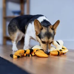 Disney Tigger Bungee Plush Squeaky Dog Toy -Dog - Cat Shop 328769 PT3. AC SS1800 V1657718551