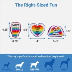 Frisco Pride Rainbow Hide & Seek Puzzle Plush Squeaky Dog Toy -Dog - Cat Shop 331673 PT2. AC SS1800 V1649785282