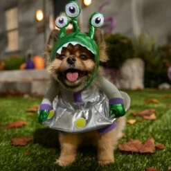 Frisco Front Walking Alien Dog & Cat Costume -Dog - Cat Shop 334795 PT7. AC SS1800 V1657718966