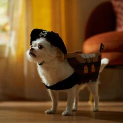 Frisco Pirate Ship Dog & Cat Costume -Dog - Cat Shop 335078 PT7. AC SS1800 V1657656881