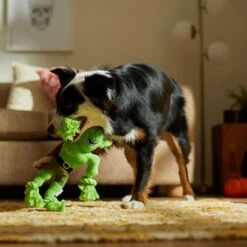 Frisco Halloween Goblin Plush With Rope Squeaky Dog Toy -Dog - Cat Shop 344132 PT3. AC SS1800 V1657657042