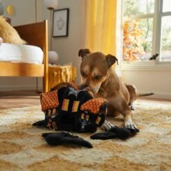 Frisco Halloween Haunted House Hide & Seek Puzzle Plush Squeaky Dog Toy -Dog - Cat Shop 344136 PT3. AC SS1800 V1657657042