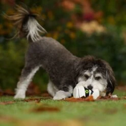 Frisco Halloween Mummy Latex Squeaky Dog Toy 6 Frisco Halloween Mummy Latex Squeaky Dog Toy -Dog - Cat Shop 344140 PT3. AC SS1800 V1657657042