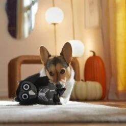 Frisco Halloween Spooky Owl Plush Squeaky Dog Toy -Dog - Cat Shop 344162 PT3. AC SS1800 V1657657049