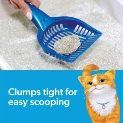 Fresh Step Febreze Freshness Gain Scented Clumping Clay Cat Litter -Dog - Cat Shop 346442 PT2. AC SS1800 V1694463360