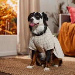 Frisco Tweed Weave Ruffle Skirt Dog & Cat Dress -Dog - Cat Shop 353649 PT6. AC SS1800 V1660750168