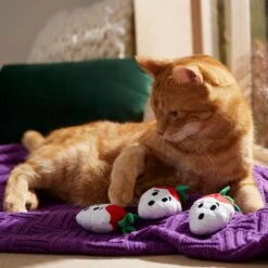Frisco Halloween Ghost Strawberries Plush Cat Toy With Catnip, 3 Count -Dog - Cat Shop 354127 PT3. AC SS1800 V1657657123