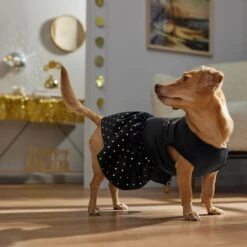 Frisco Kiss Me At Midnight Dog & Cat Dress -Dog - Cat Shop 358044 PT7. AC SS1800 V1661799831