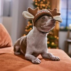 Frisco Antler Fair Isle Dog & Cat Hat -Dog - Cat Shop 358313 PT4. AC SS1800 V1661798696