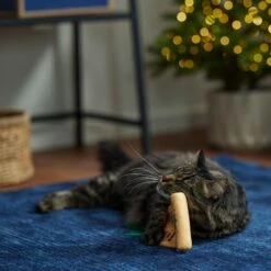 Frisco Holiday Santa's List Plush & Feather Cat Toy With Catnip -Dog - Cat Shop 360895 PT3. AC SS1800 V1661874361