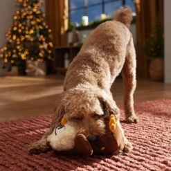 Frisco Holiday Festive Owl Plush Squeaky Dog Toy -Dog - Cat Shop 360919 PT3. AC SS1800 V1661874361