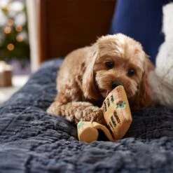 Frisco Holiday Santa's List Plush & TPR Inside Dog Toy -Dog - Cat Shop 360970 PT3. AC SS1800 V1661874421