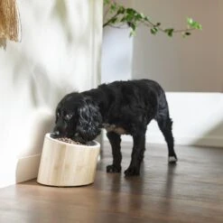 Frisco Elevated Slanted Bamboo Melamine Non-Skid Dog Bowl With Bamboo Stand -Dog - Cat Shop 363387 PT2. AC SS1800 V1657657267
