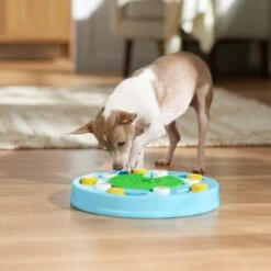 Frisco Seek & Discover Interactive Puzzle Dog Toy, Moderate -Dog - Cat Shop 506250 PT5. AC SS1800 V1674664929