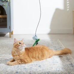 Frisco Leaf & Dragonfly Interchangeable Teaser Wand Cat Toy With Catnip -Dog - Cat Shop 525982 PT3. AC SS1800 V1669148131