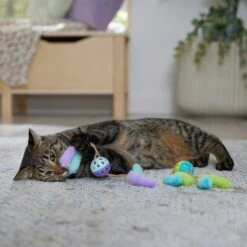 Frisco Fabric & Play Plastic Balls Cat Toy -Dog - Cat Shop 526030 PT3. AC SS1800 V1669148132