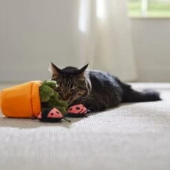 Frisco Spring Potted Plant And Ladybugs Interactive Plush Cat Toy With Catnip -Dog - Cat Shop 541542 PT3. AC SS1800 V1671814448