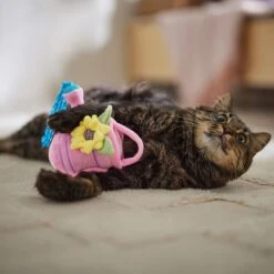 Frisco Spring Watering Can Plush Cat Toy With Catnip -Dog - Cat Shop 541558 PT3. AC SS1800 V1671814448