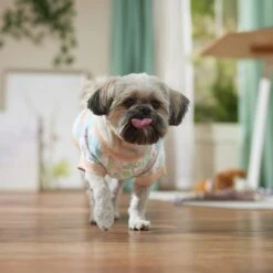 Frisco Vintage Tropical Dog & Cat Pocket T-Shirt -Dog - Cat Shop 556598 PT5. AC SS1800 V1675101997