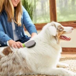 TropiClean Luxury 2 In 1 Papaya & Coconut Pet Shampoo & Conditioner & Frisco Cat & Dog Bristle Brush -Dog - Cat Shop 575094 PT7. AC SS1800 V1657660395