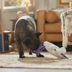 Frisco Halloween Bunny Ghost Plush Squeaky Dog Toy 8 Frisco Halloween Bunny Ghost Plush Squeaky Dog Toy -Dog - Cat Shop 667878 PT3. AC SS1800 V1689340856