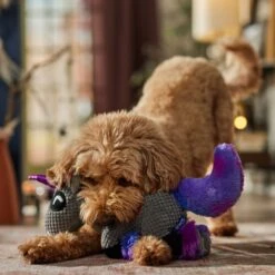 Frisco Halloween Midnight Unicorn Plush Squeaky Dog Toy -Dog - Cat Shop 667958 PT3. AC SS1800 V1689350103