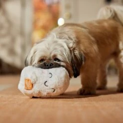 Frisco Halloween Trick Or Treat Ghost Plush Squeaky Dog Toy -Dog - Cat Shop 667974 PT3. AC SS1800 V1689350978