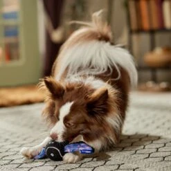 Frisco Halloween Bat Fetch Squeaky Tennis Ball Dog Toy -Dog - Cat Shop 668278 PT3. AC SS1800 V1689350166