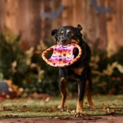 Frisco Halloween Ghost Swirl Fetch Flyer Dog Toy -Dog - Cat Shop 668294 PT3. AC SS1800 V1689278363