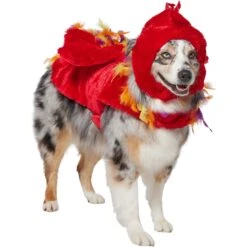 Frisco Flying Phoenix Dog & Cat Costume -Dog - Cat Shop 708150 PT3. AC SS1800 V1691084928