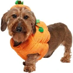 Frisco Pumpkin Ball Dog & Cat Costume -Dog - Cat Shop 708902 PT2. AC SS1800 V1689351041