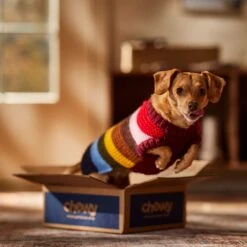 Frisco Chunky Knit Multi-Stripe Dog & Cat Sweater -Dog - Cat Shop 718662 PT7. AC SS1800 V1692378219
