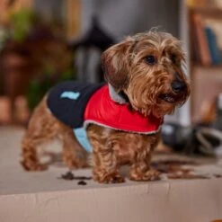 Frisco Medium Weight Retro Colorblock Mixed Media Dog & Cat Coat -Dog - Cat Shop 719462 PT7. AC SS1800 V1692379031