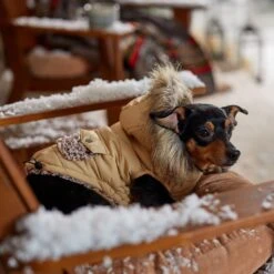 Frisco Heavy Weight Matte Quilted Dog & Cat Parka With Cozy Fleece Lining -Dog - Cat Shop 719654 PT7. AC SS1800 V1692376037