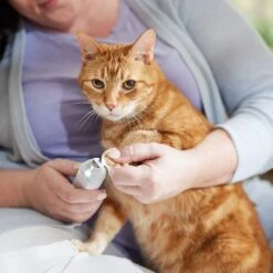 Rechargeable Cordless Cat & Dog 3-Speed Nail Grinder, White -Dog - Cat Shop 729774 PT5. AC SS1800 V1683147135