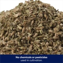 Frisco Natural Catnip & Hartz Cattraction Silver Vine & Catnip Gator Cat Scratcher Toy, Color Varies -Dog - Cat Shop 737470 PT3. AC SS1800 V1683212146